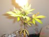 DSC01095.jpg