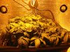 111-1194_IMG.jpg