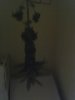 05-16-08_1428.jpg