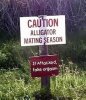 gator warning.jpg