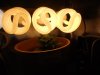 DSCN0584.jpg