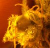 newDSC01709.jpg