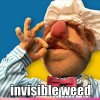 celebrity-pictures-swedish-chef-invisible-weed.jpg
