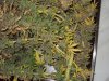 DSC01770.jpg