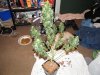 DSCF0590.jpg