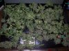 100_0744.jpg