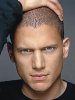 wentworth_miller1_0.jpg