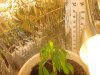 DSC00156.JPG