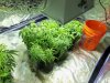 feb 17 2011 010.jpg