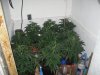 SDC10850.jpg