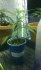 pics 007.jpg