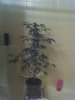 05-23-08_1341.jpg
