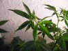 2008_0525Easter0006.jpg