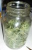 Fresh Trim Hash Oil Jar.jpg