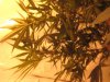 IMG_6865.jpg