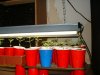 Dscf0006.jpg