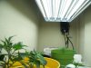 grow closet 010.jpg