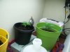 grow closet 009.jpg