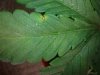 2011-03-23083335.jpg