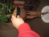 IMG_7035.jpg
