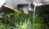03-28-11 homemade c02.jpg