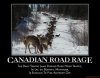 canadian-road-rage-canada-traffic-jam-i-hate-when-they-go-10-demotivational-poster-1263401866.jpg