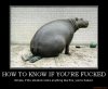 how-to-know-if-youre-fucked-hippo-squash-how-to-know-if-you-demotivational-poster-1264036122.jpg