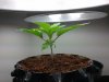 2011-04-06 20.06.32.jpg