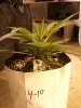 WP_000266.jpg