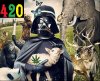 darth420.jpg