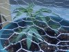 100_0218.jpg
