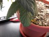 100_0746.jpg