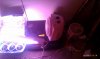 IMAG0209.jpg