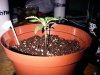 Sandton-20110517-00051.jpg