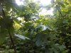 IMG-20110526-00086.jpg