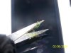 100_1186.jpg