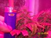 100_1192.jpg