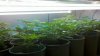 2011-07-01_13-53-42_882.jpg