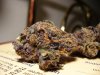 PurpleKushpic#1.jpg