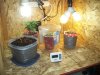 100_2180.jpg