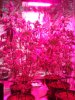 DSC00924.JPG