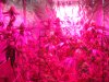DSC01038.JPG