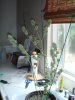 DSC01126.JPG