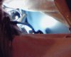 Picture 003.jpg