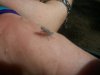 100_1828.jpg