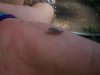 100_1827.jpg