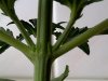 IMG-20110723-00146.jpg