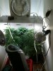 Grow Room 70d.JPG