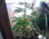 IMG00775.jpg