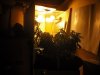 DSCF0495.jpg